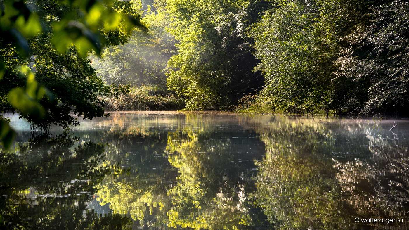 Una foto artistica di uno scorcio su un lago