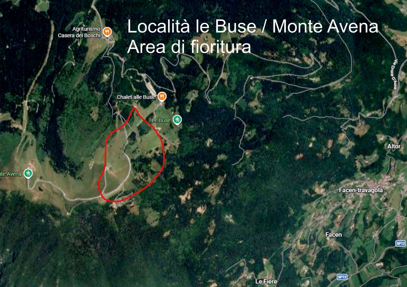Cartina del percorso dei narcisi in località Monte Avena