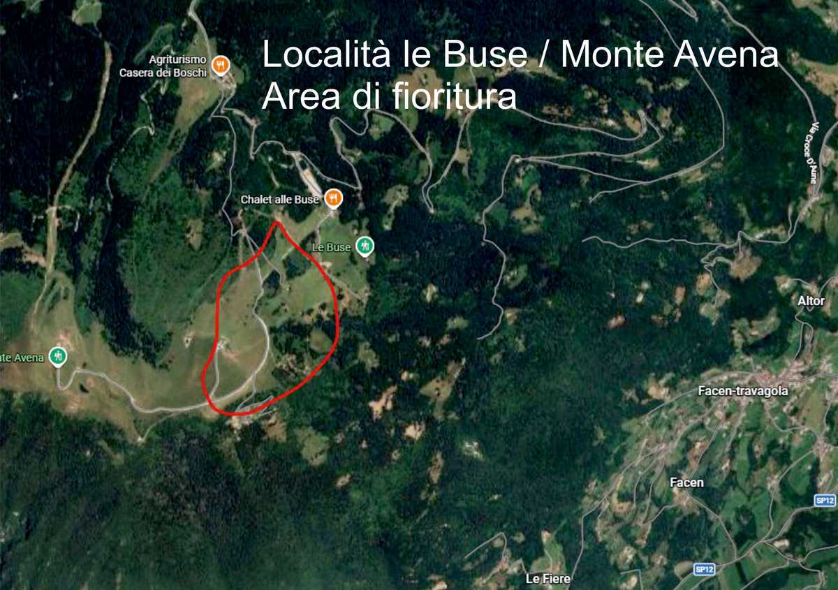 Cartina del percorso dei narcisi in località Monte Avena