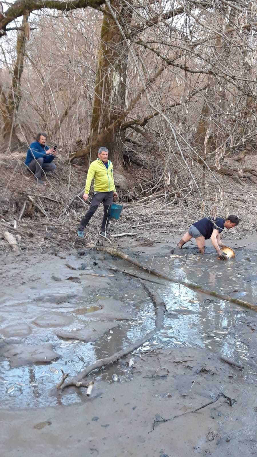 Alcuni volontari si occupano della bonifica dell'ecosistema dei Laghetti togliendo il fango con alcuni secchi