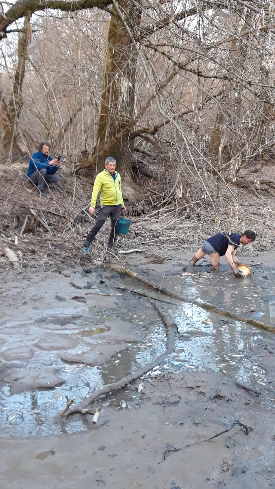 Alcuni volontari  si occupano della bonifica dell'ecosistema dei Laghetti togliendo il fango con alcuni secchi
