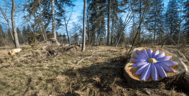 Una scultura su un ceppo di legno raffigurante un fiore