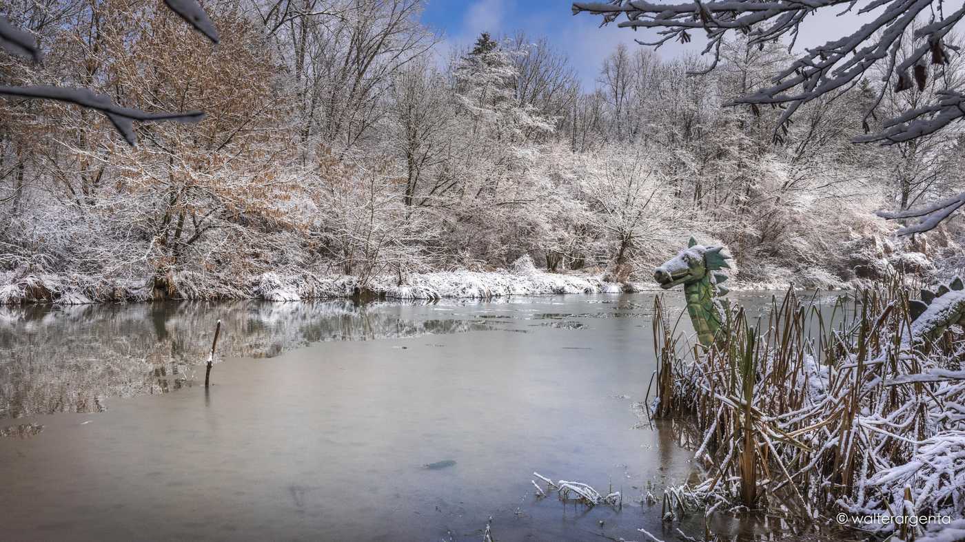 Panorama invernale dei laghetti. Si intravede l'opera di legno "Rufus il Drago"