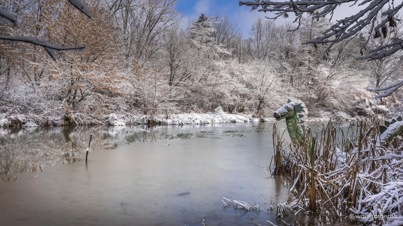 Panorama invernale dei laghetti. Si intravede l'opera di legno "Rufus il Drago"