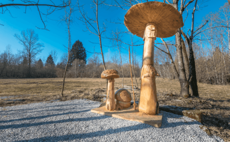 Una scultura eseguita da Beppino Lorenzed di un fungo.