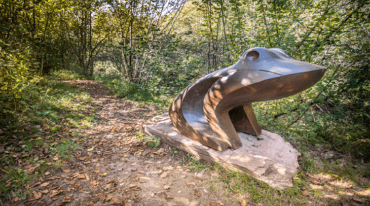Una scultura di legno raffigurante una rana creata da Luca Lisot.