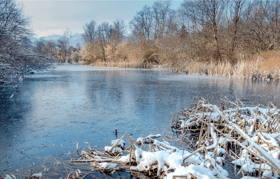 Un panorama invernale dei laghetti della Rimonta