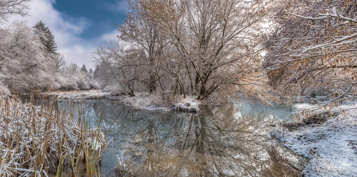 Un panorama invernale dei laghetti della Rimonta con alberi innevati