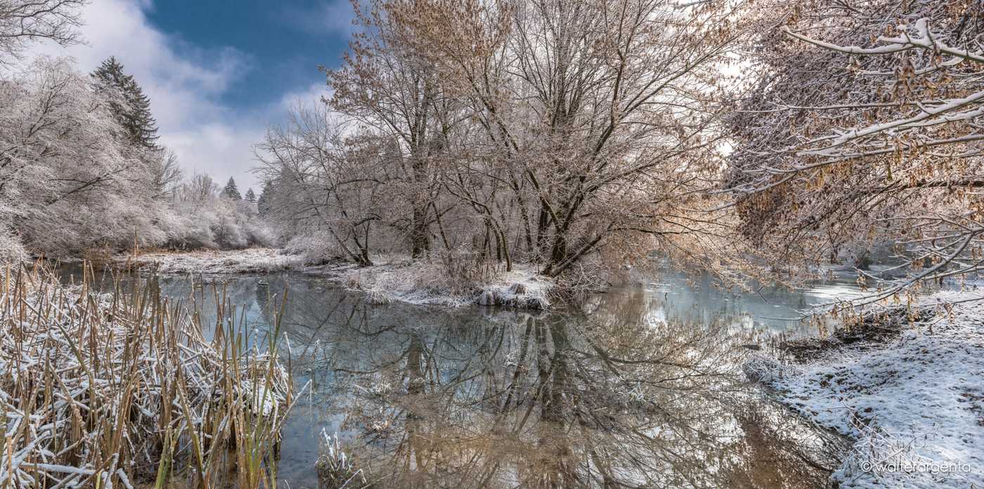 Un panorama invernale dei laghetti della Rimonta con alberi innevati