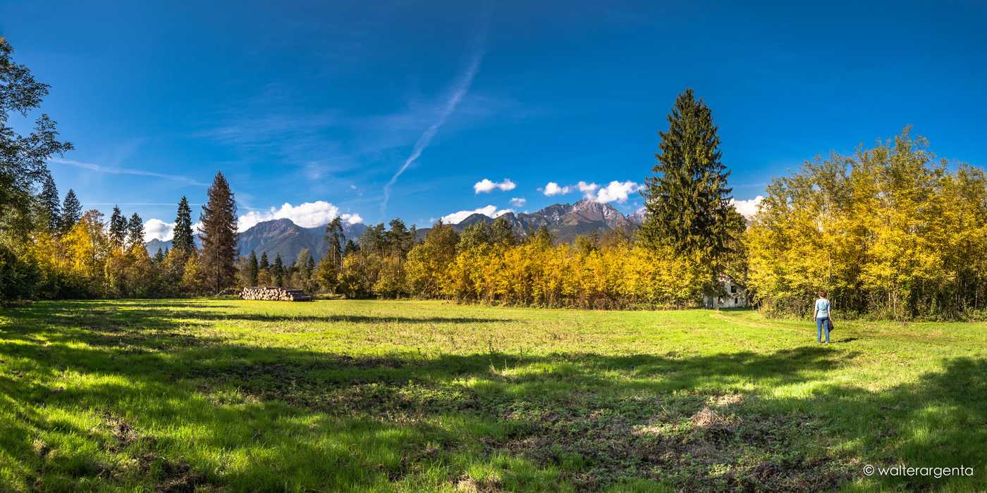 Panoramica del sentiero che attraversa una radura. Si vede una persona in piedi e le Dolomiti sullo sfondo.