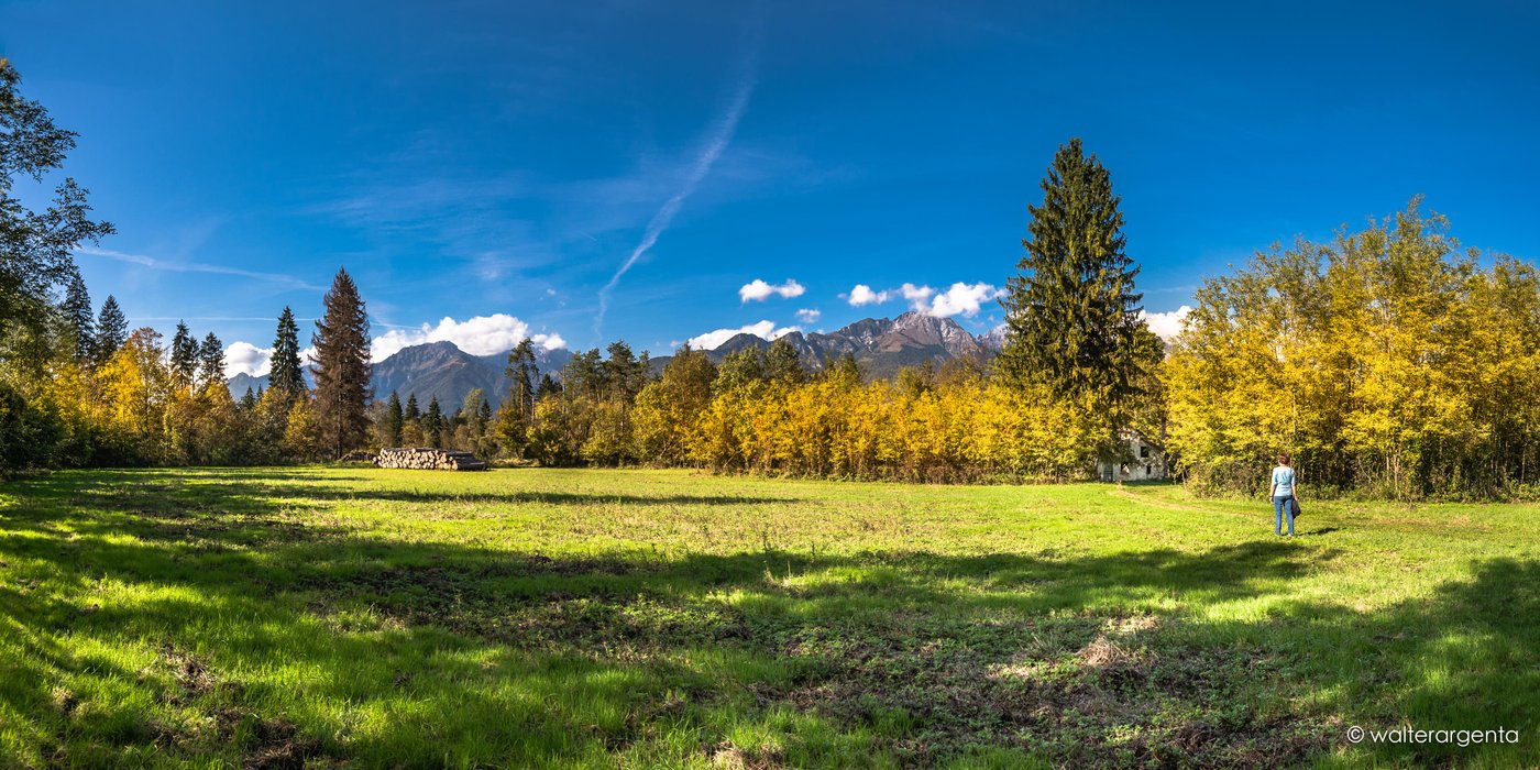 Panoramica del sentiero che attraversa una radura. Si vede una persona in piedi e le Dolomiti sullo sfondo.