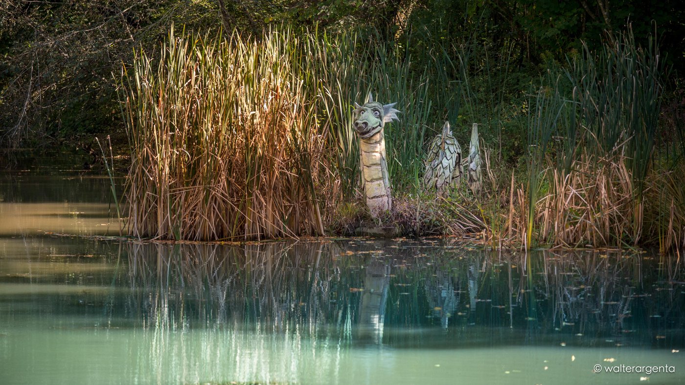 Scultura in legno eseguita da Andrea Gaspari di un drago immerso in un laghetto e nascosto da un canneto