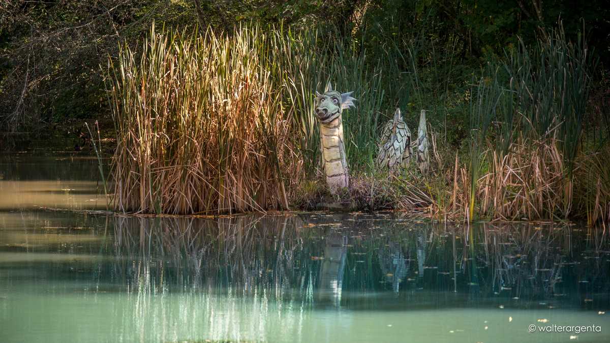 Scultura in legno eseguita da Andrea Gaspari di un drago immerso in un laghetto e nascosto da un canneto