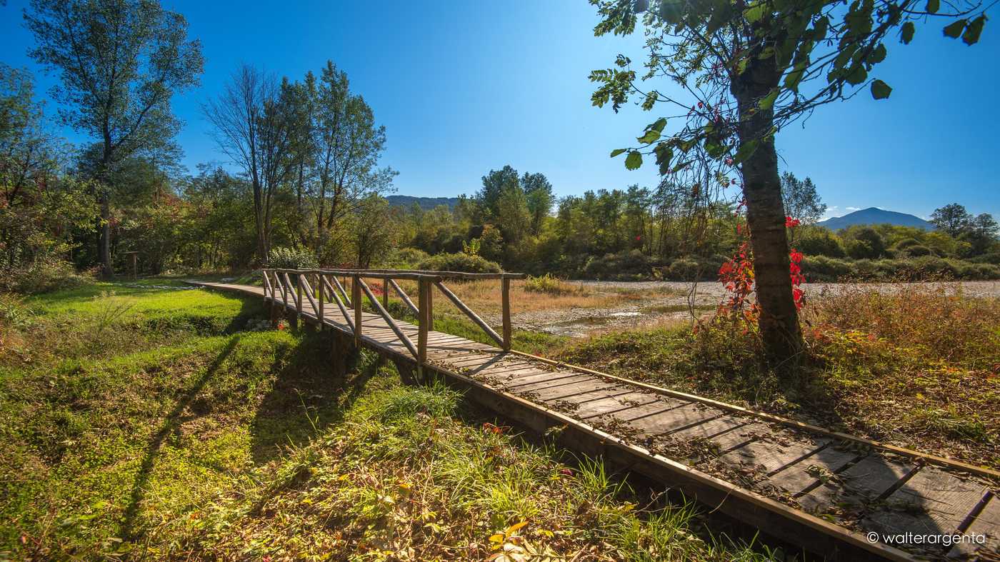 Una passerella di legno