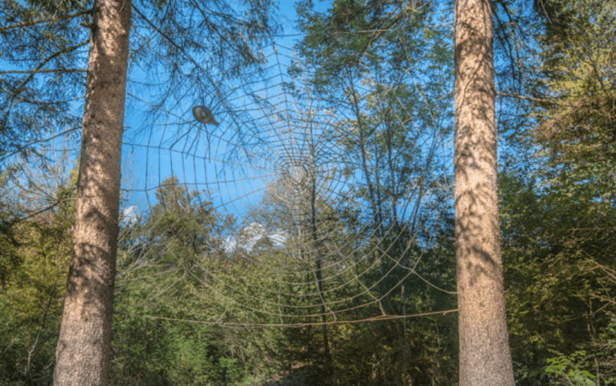 Scultura in legno e corda di Franco Vergerio, raffigurante una ragnatela sospesa fra due alberi ed un ragno.