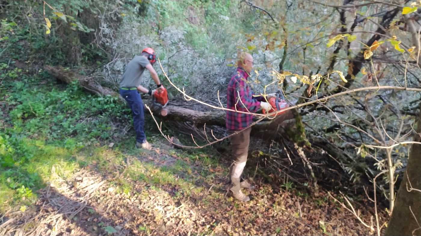 Un paio di volontari stanno tagliando con una motosega un albero caduto che ostruisce il percorso