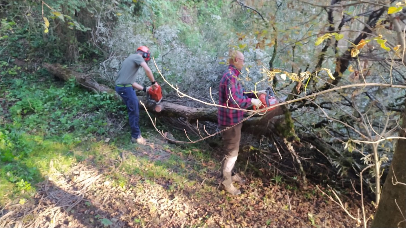 Un paio di volontari stanno tagliando con una motosega un albero caduto che ostruisce il percorso